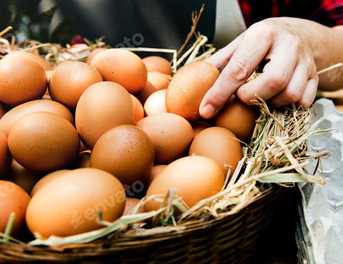 Preview: Fresh Chicken Rooster Eggs on Hay at Local Farmer Market