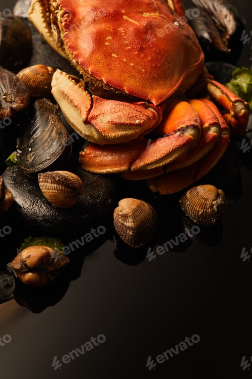 Preview: close up view of uncooked crab, cockles and mussels on stones isolated on black
