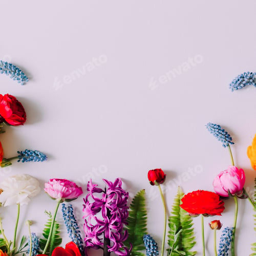 Preview: Bouquet of beautiful colorful ranunculus and spring flowers on white background with copy space for