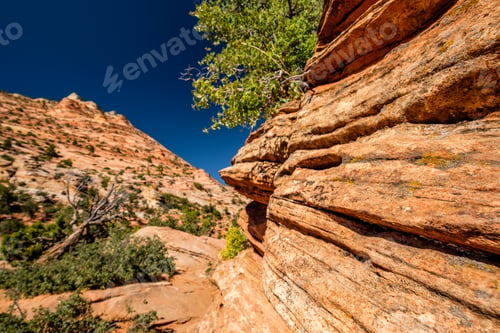 Preview: Landscape in Zion National Park