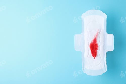 Preview: Menstrual pad and red feather on color background, top view with space for text. Gynecological care