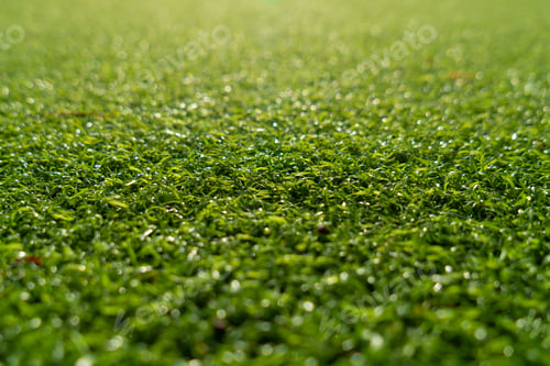Preview: Closeup artificial grass as background