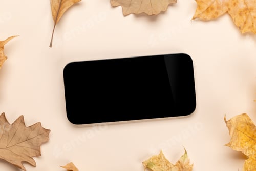 Preview: Smartphone with blank scree