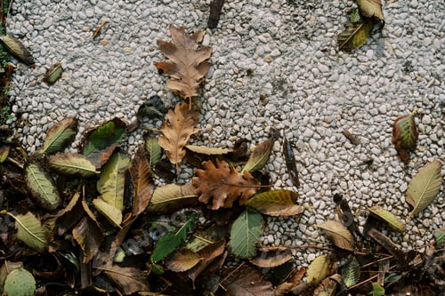 Preview: Dry leaves lie on a gravel textured tile