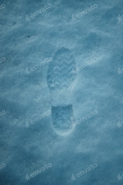 Preview: footprint in a frozen snow