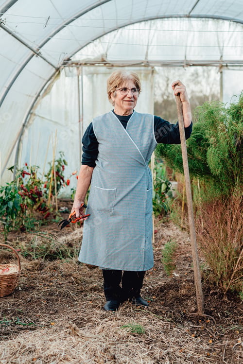 Preview: Old woman working smiling happy in a greenhouse. eco friendly new business, freelancer concept