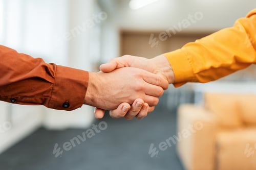 Preview: Closeup hands business people handshake on meeting. Trust, agreement, greeting, partnership concept