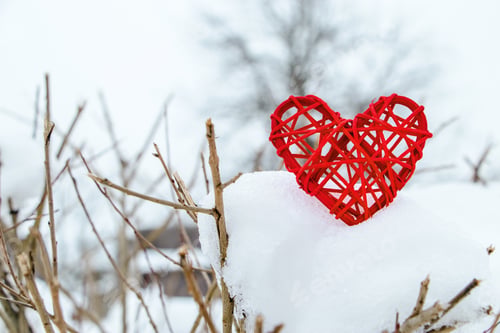 Preview: Love Heart on Snowy Branch in Winter Scene