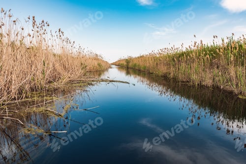 Preview: Water channel in nature reserve