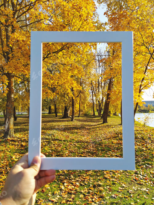 Preview: Golden autumn park in white frame, fall moments