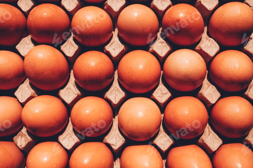 Preview: Chicken eggs in tray, close-up eggs pattern