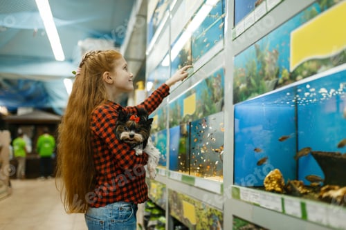 Preview: Girl looking on fishes in aquarium, pet store