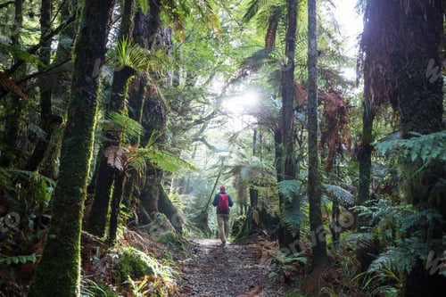 Preview: Tramping