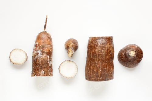 Preview: Yuca( cassava) root sliced and arranged on white background.