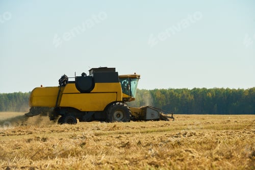 Preview: Agricultural Combine Harvesting Wheat Field during Sunny Autumn Day