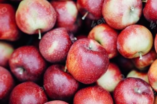 Preview: Excellent harvest of juicy fresh eco fruits, organic farming. Trade, successful business