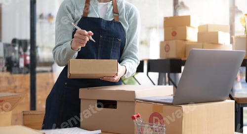 Preview: Startup Entrepreneurship Small Business SME Freelance Young lady working at home with boxes and