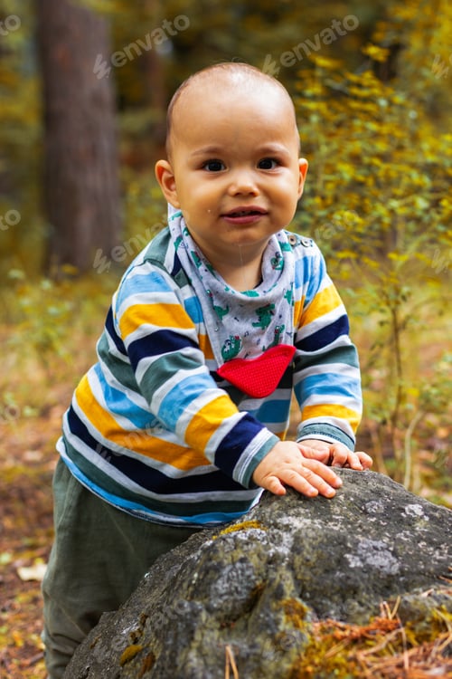 Preview: Cute baby boy walking in autumn forest. Fall mood