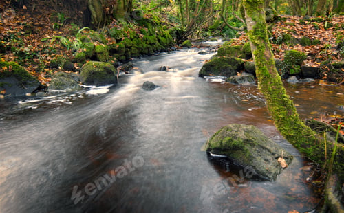 Preview: Beautiful autumn river stream