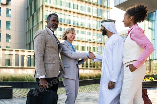 Preview: Group of multiethnic business people meeting an emirati businessman