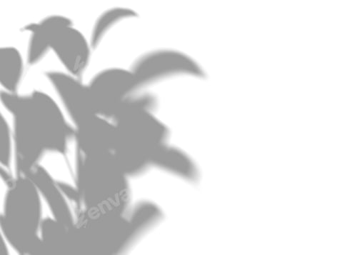 Preview: Shadow from plants, leaves, overlay effect. Realistic gray shadow on white background.