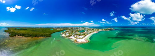 Preview: Sombrero Beach with palm trees on the Florida Keys, Marathon, Florida, USA.
