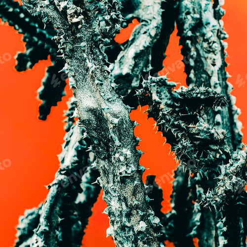 Preview: Cactus. Dead. Minimal art details