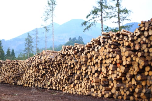 Preview: Outdoor timber warehouse in the mountains of Slovenia