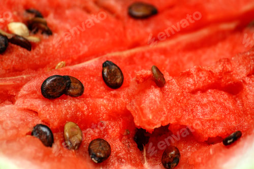 Preview: watermelon background