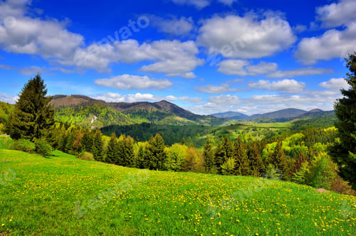 Preview: Mountain landscape with fresh green grass and dandelions near th
