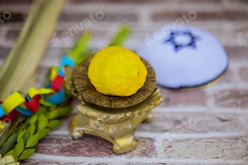 Preview: The traditional symbols for Jewish holiday celebrations like Sukkot are the etrog, lulav, hadas, and