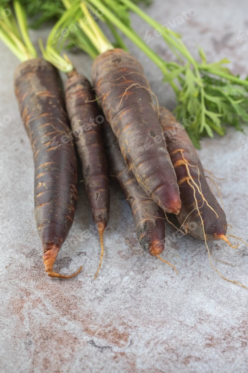 Preview: Purple Carrots with Greens on Textured Surface