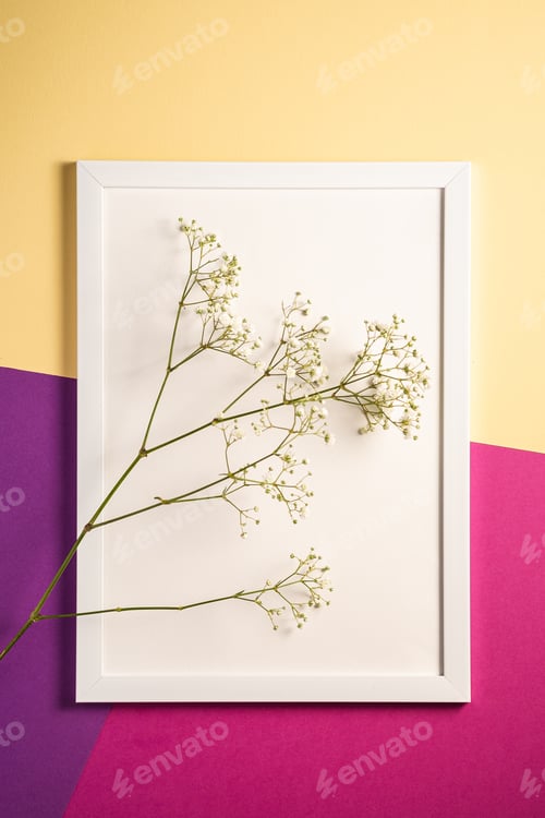 Preview: White picture frame with empty template, gypsophila flowers