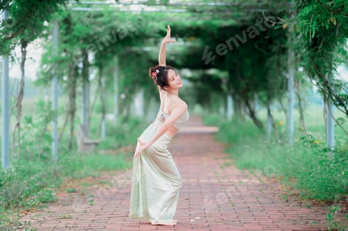 Preview: chinese dancing