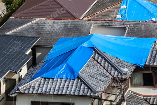 Preview: Houses with Damaged Tiled Roof Covered with Blue Tarp