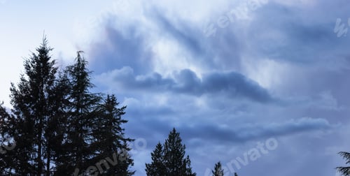 Preview: Dramatic Cloudy Sunset Sky Background with green trees