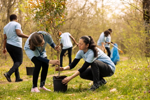 Preview: Mother and daughter preparing to plant a tree in the woods