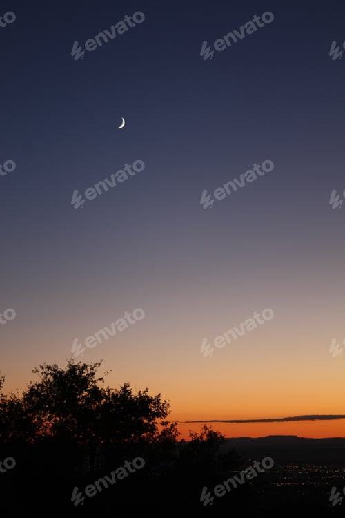 Preview: Bright moon hovering above an illuminated horizon dotted with trees in the foreground