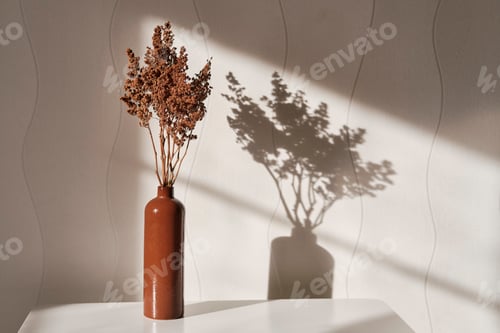 Preview: Clay brown vase with brown dried flowers on a white coffee table against a white wall background.