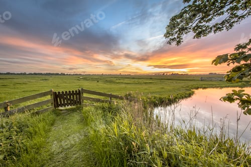 Preview: View from backyard of dairy farm