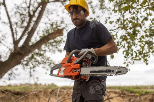 Preview: Closeup of a lumberjack with a chainsaw in a forest
