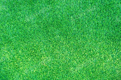 Preview: green grass texture can be use as background