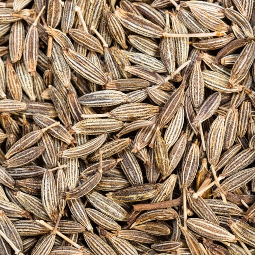 Preview: cumin (cuminum cyminum) seeds close up
