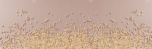 Preview: Organic uncooked pearl barley top view