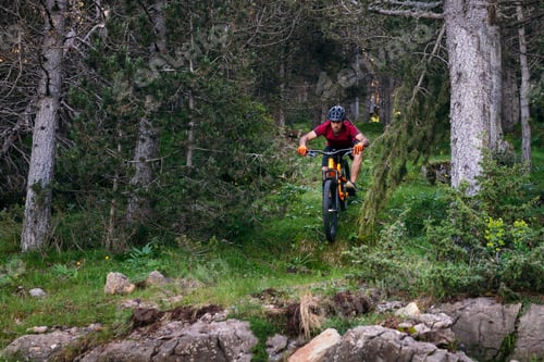 Preview: man doing a mountain bike downhill in a forest
