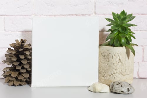 Preview: Blank canvas frame.