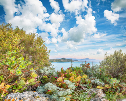 Preview: Breathtaking spring view on the the cape Milazzo panorama of nature reserve.