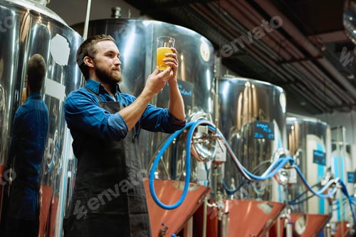 Preview: Brewery master with glass of beer in hand evaluating its visual characteristics