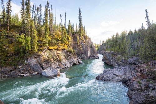 Preview: River in Canada