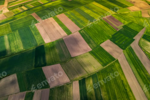 Preview: Beautiful Lush Farm Fields in Countryside,Poland. Drone View from Above